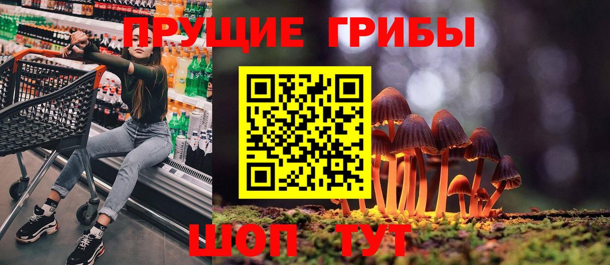 Псилоцибиновые грибы GOLDEN TEACHER Дубна